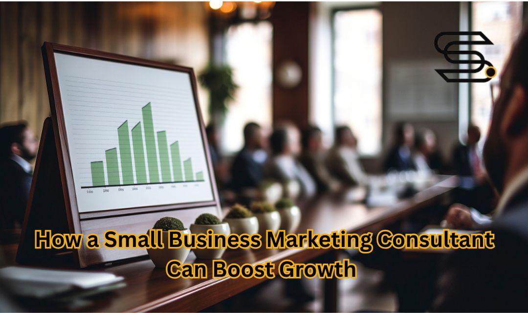 How a Small Business Marketing Consultant Can Boost Growth Through Business Development Consulting